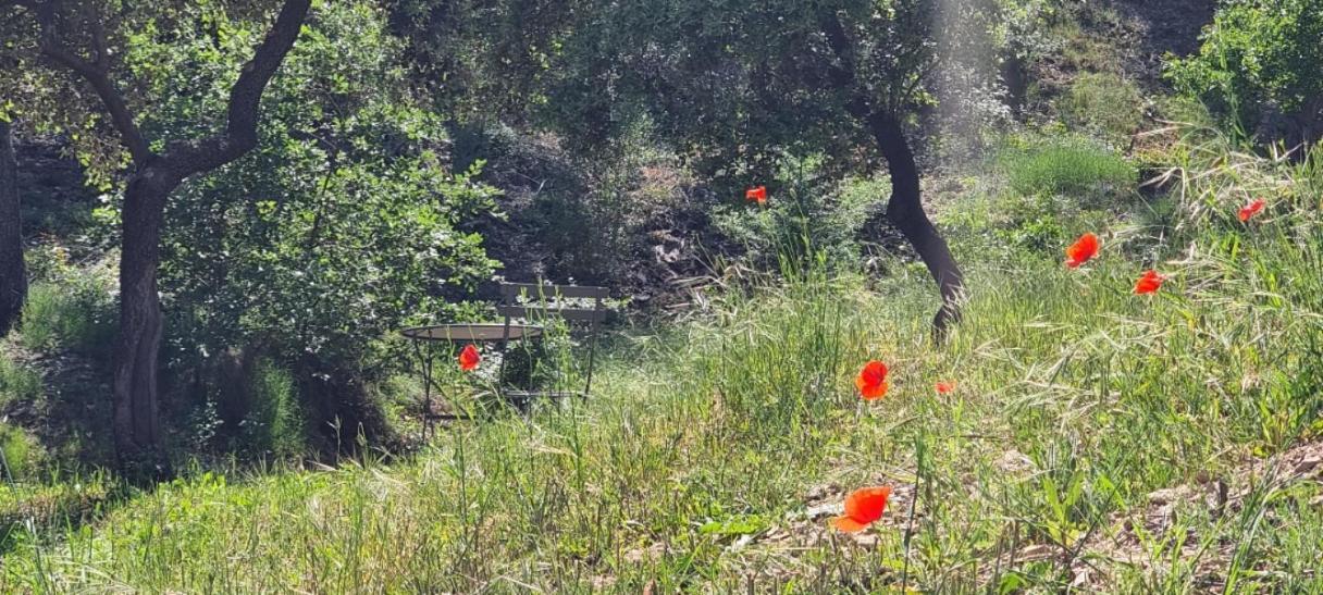 Les Bois De Zola Entre Provence Et Luberon Aparthotel Saint-Esteve-Janson Buitenkant foto