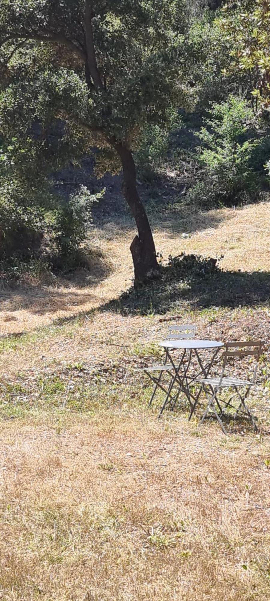 Les Bois De Zola Entre Provence Et Luberon Aparthotel Saint-Esteve-Janson Buitenkant foto